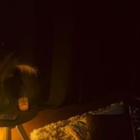 Portal Espaço Terapias Online